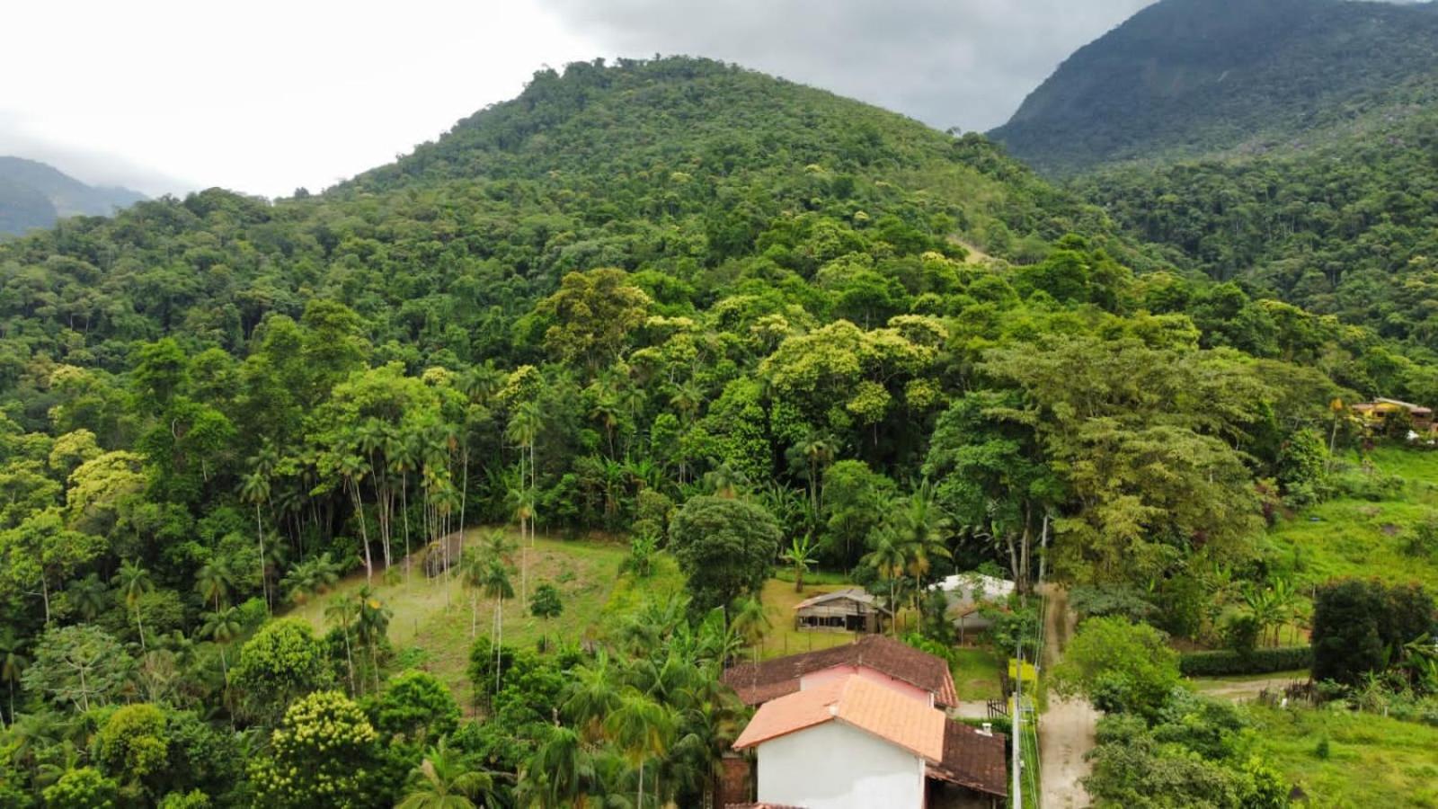 Casa Da Floresta Pico Da Aguia Paraty Luaran gambar