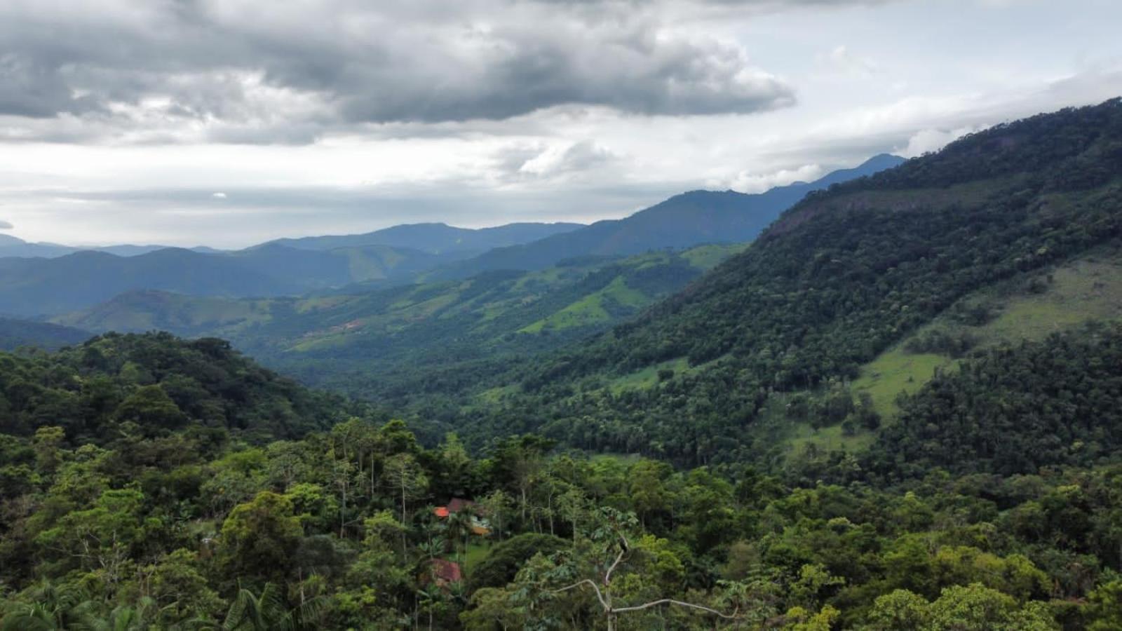 Casa Da Floresta Pico Da Aguia Paraty Luaran gambar