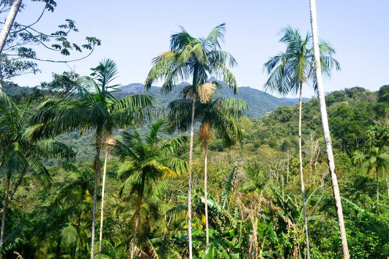 Casa Da Floresta Pico Da Aguia Paraty Luaran gambar